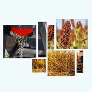 Leaders at the Table